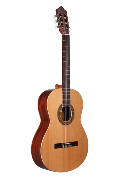 Altamira Guitar N100