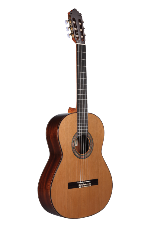 Altamira Guitar N400